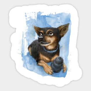 Portrait of Chihuahua puppy dog watercolor painting Sticker